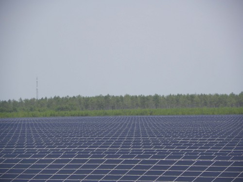 Un million de modules sur 317 hectares composent cet océan bleu en pleine verdure