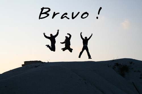 liste-resultats-diplome-national-brevet-2014-bravo